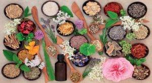 naturopathie-300x164.jpg